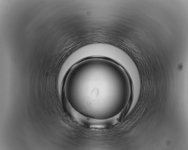 X0000096190320200801251246