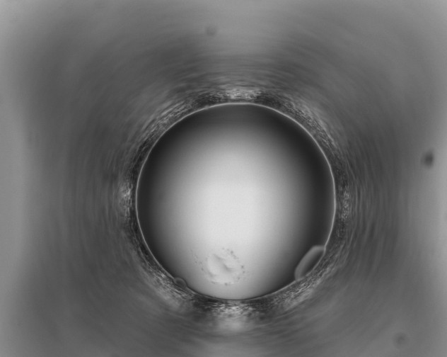 X0000096190321200801251246