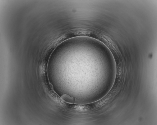 X0000096190326200801251246