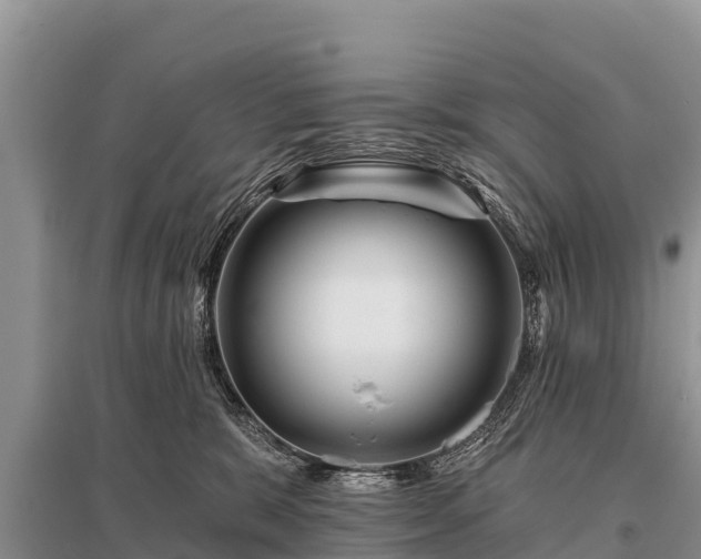 X0000096190327200801251246