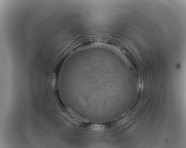 X0000096190328200801251246