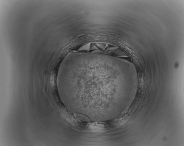 X0000096190331200801251246
