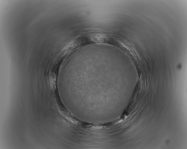 X0000096190332200801251246