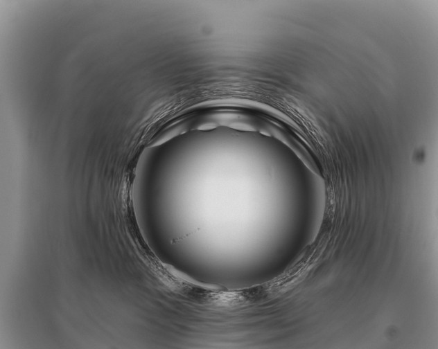 X0000096190333200801251246