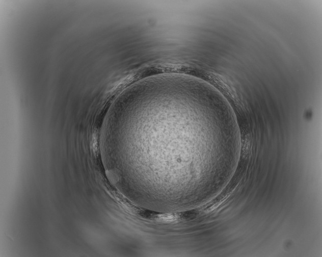 X0000096190335200801251246