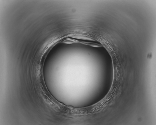X0000096190338200801251245
