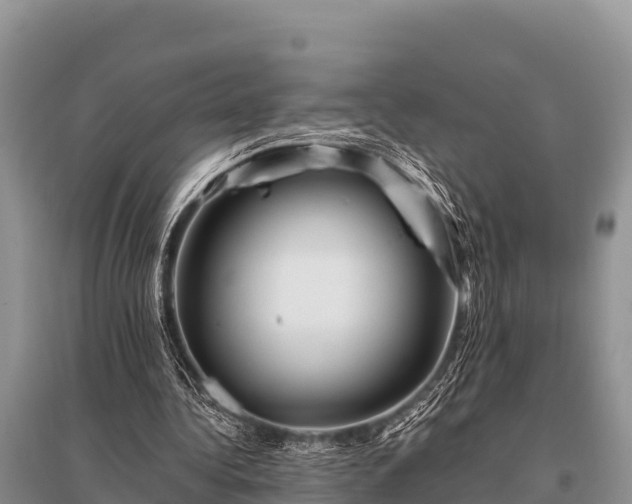 X0000096190340200801251245