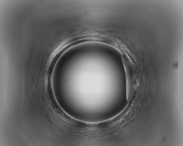 X0000096190344200801251245