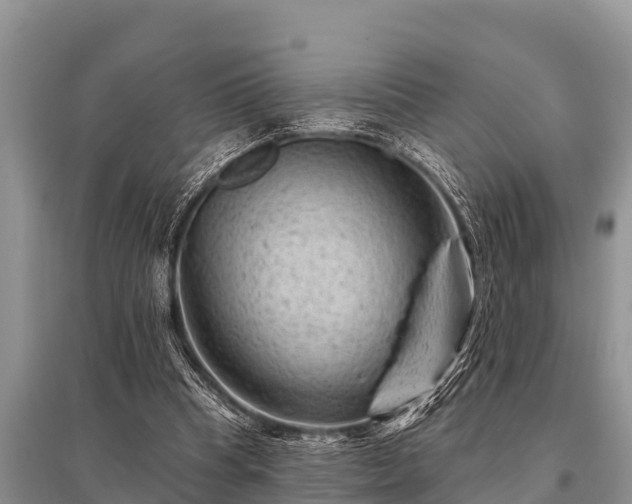 X0000096190345200801251245
