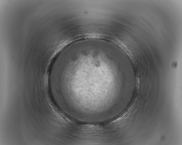 X0000096190347200801251245