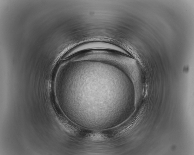 X0000096190348200801251245