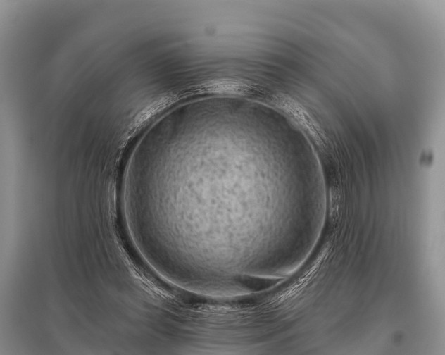 X0000096190349200801251245