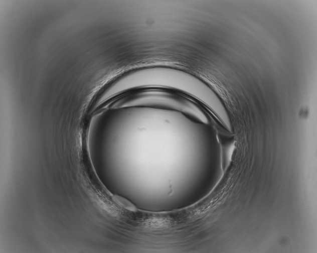 X0000096190350200801251245