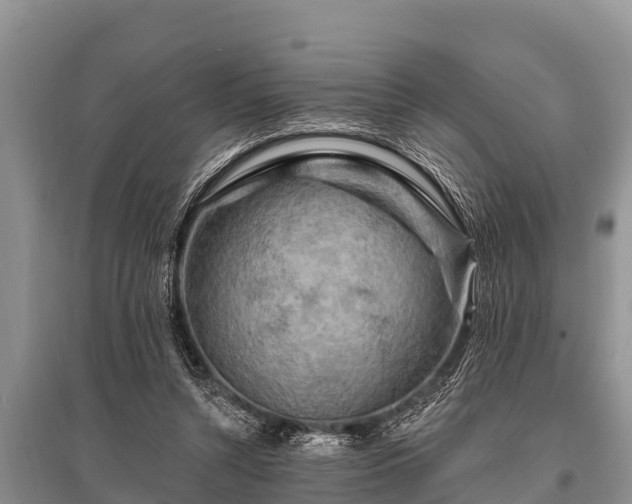 X0000096190352200801251246