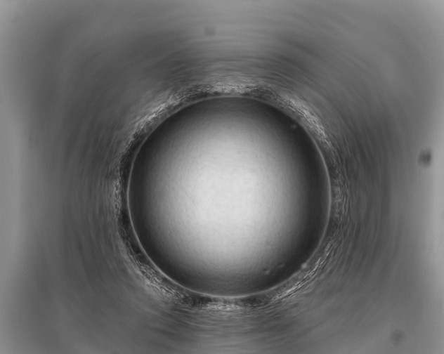 X0000096190354200801251246