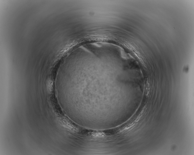X0000096190355200801251246