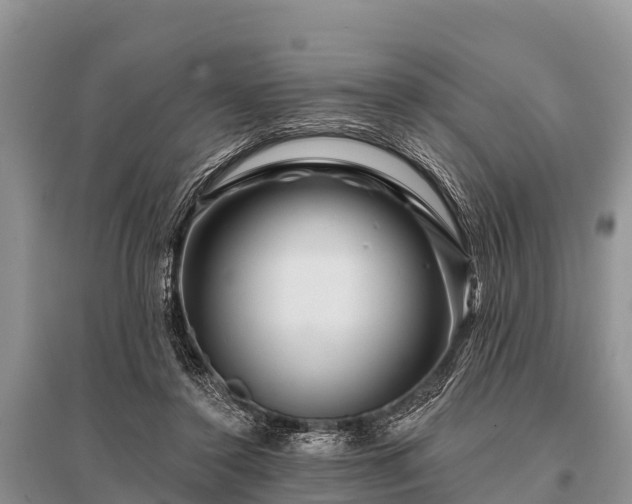 X0000096190356200801251246
