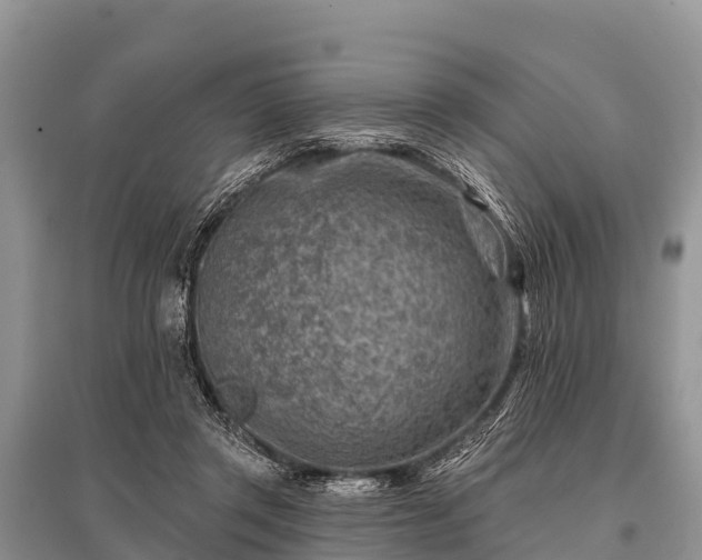 X0000096190357200801251246