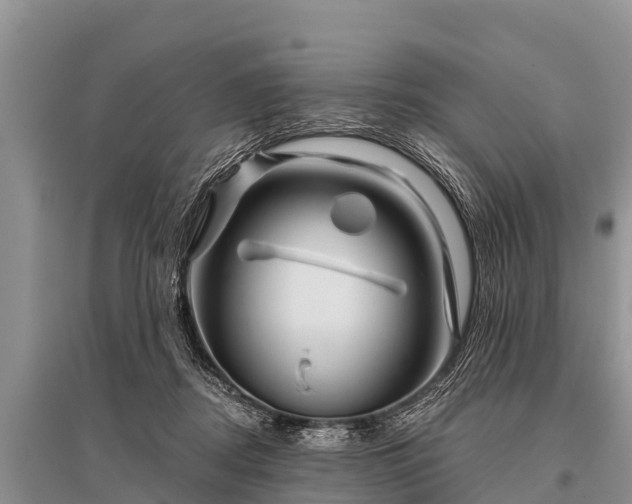 X0000096190362200801251246