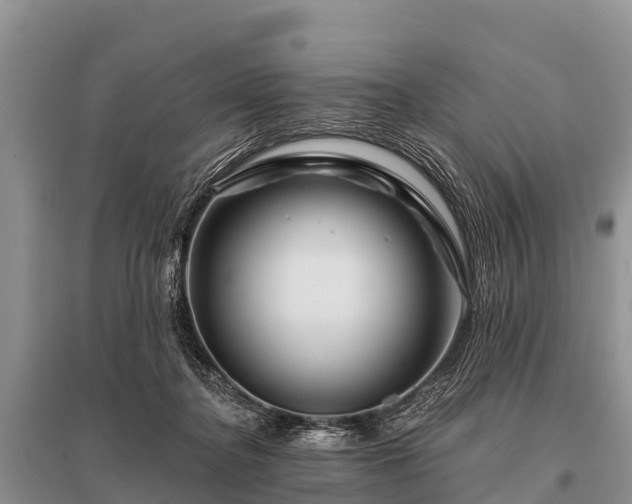 X0000096190364200801251246