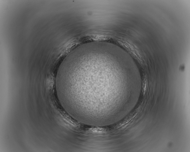 X0000096190367200801251246