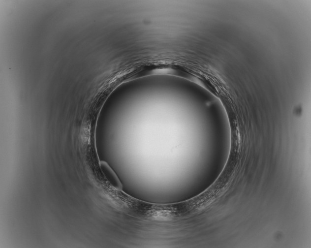 X0000096190368200801251246