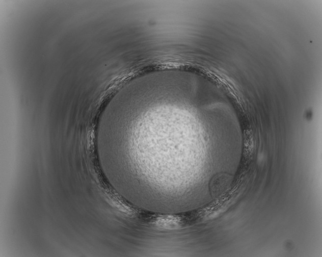 X0000096190369200801251246