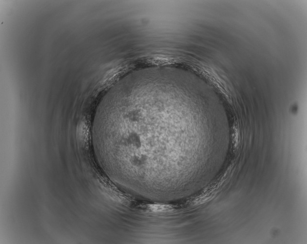X0000096190371200801251246