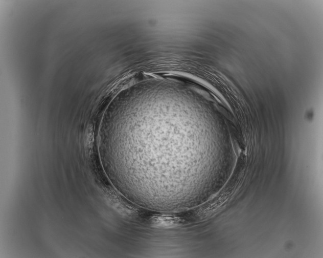 X0000096190372200801251246