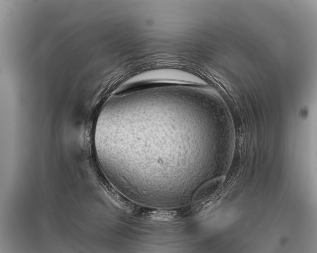 X0000096190373200801251246