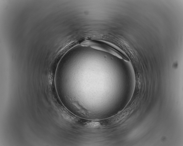 X0000096190374200801251246