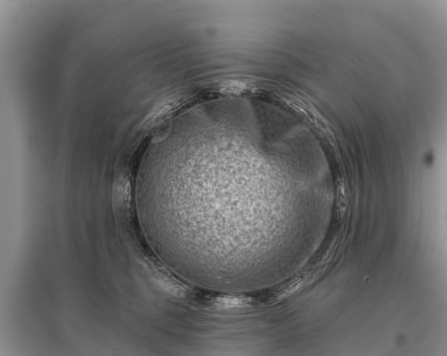 X0000096190375200801251246