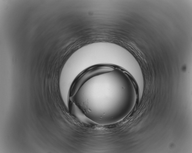X0000096190376200801251246