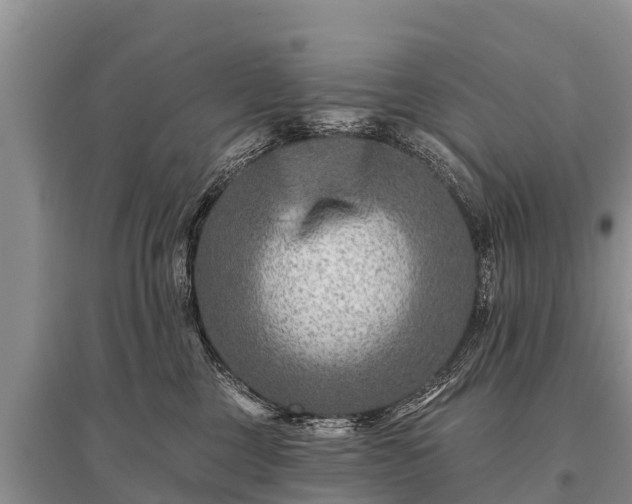 X0000096190377200801251246