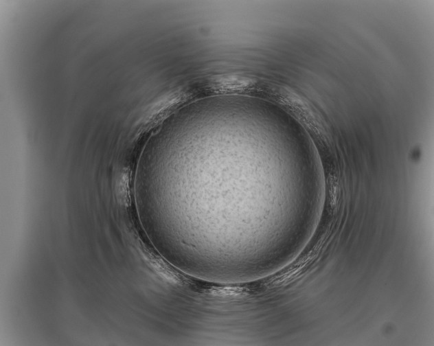 X0000096190378200801251246