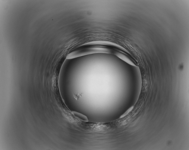X0000096190379200801251246