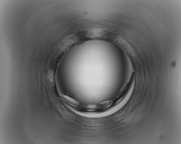 X0000096190380200801251246