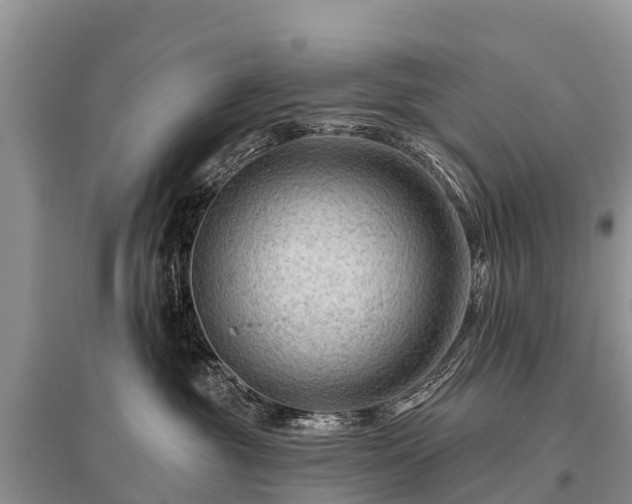 X0000096190381200801251246