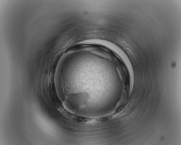 X0000096190382200801251246