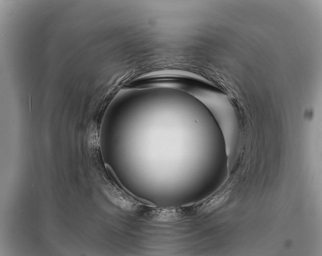 X0000096190384200801251246