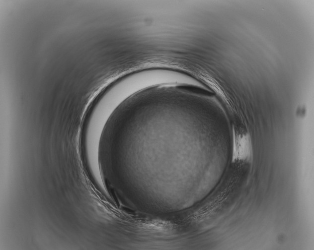 X0000096190387200801251245