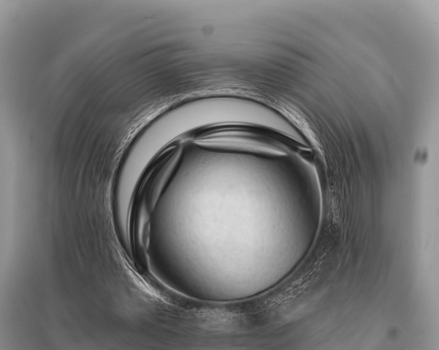 X0000096190389200801251245
