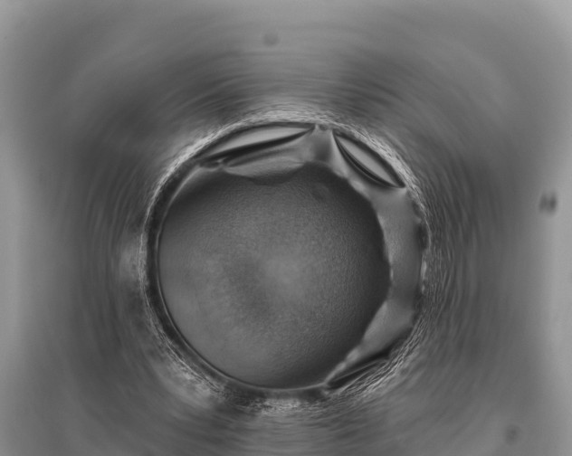 X0000096190391200801251245