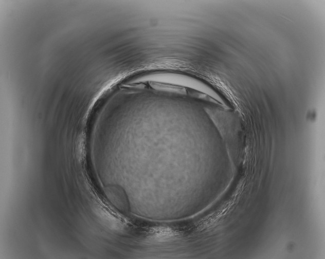 X0000096190392200801251245