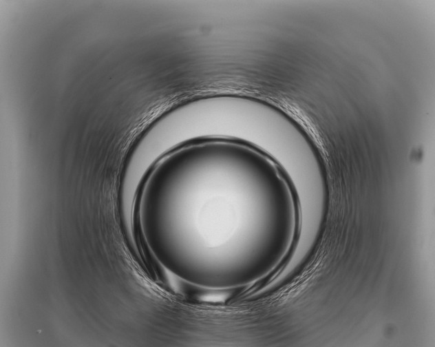 X0000096190393200801251245