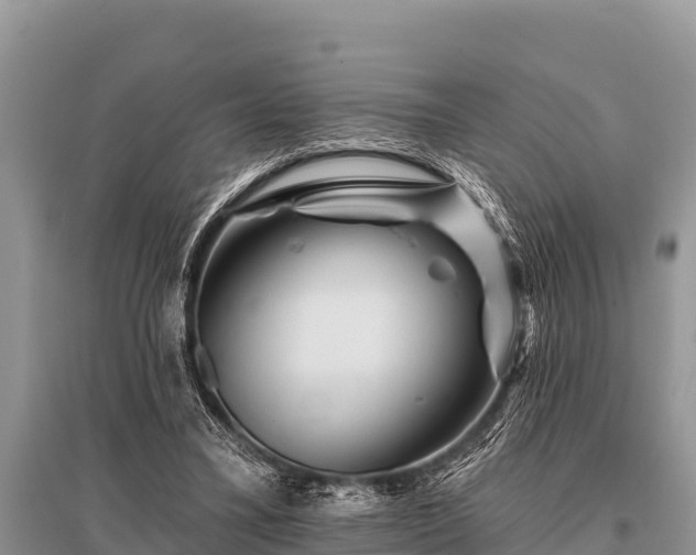 X0000096190395200801251245