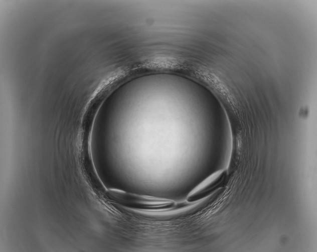 X0000096190396200801251245