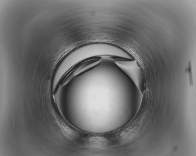 X0000096190397200801251245