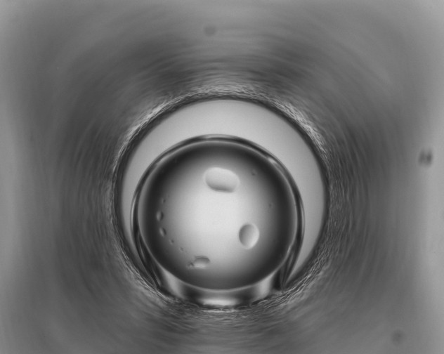 X0000096190399200801251245