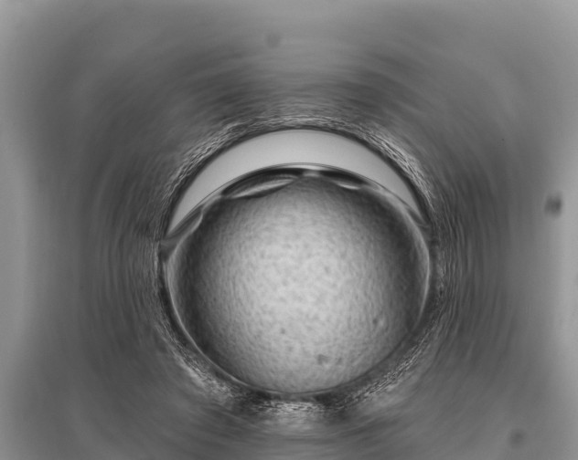 X0000096190401200801251245